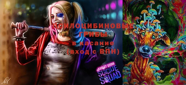 крисы Лихославль