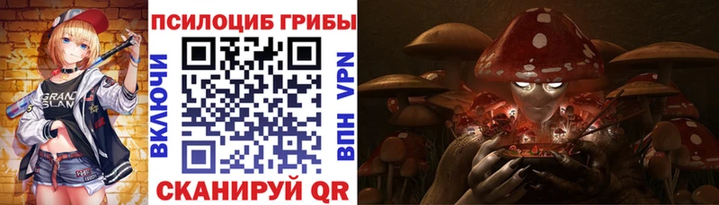 MEGA ссылки  Чудово  Галлюциногенные грибы GOLDEN TEACHER  где купить наркоту 
